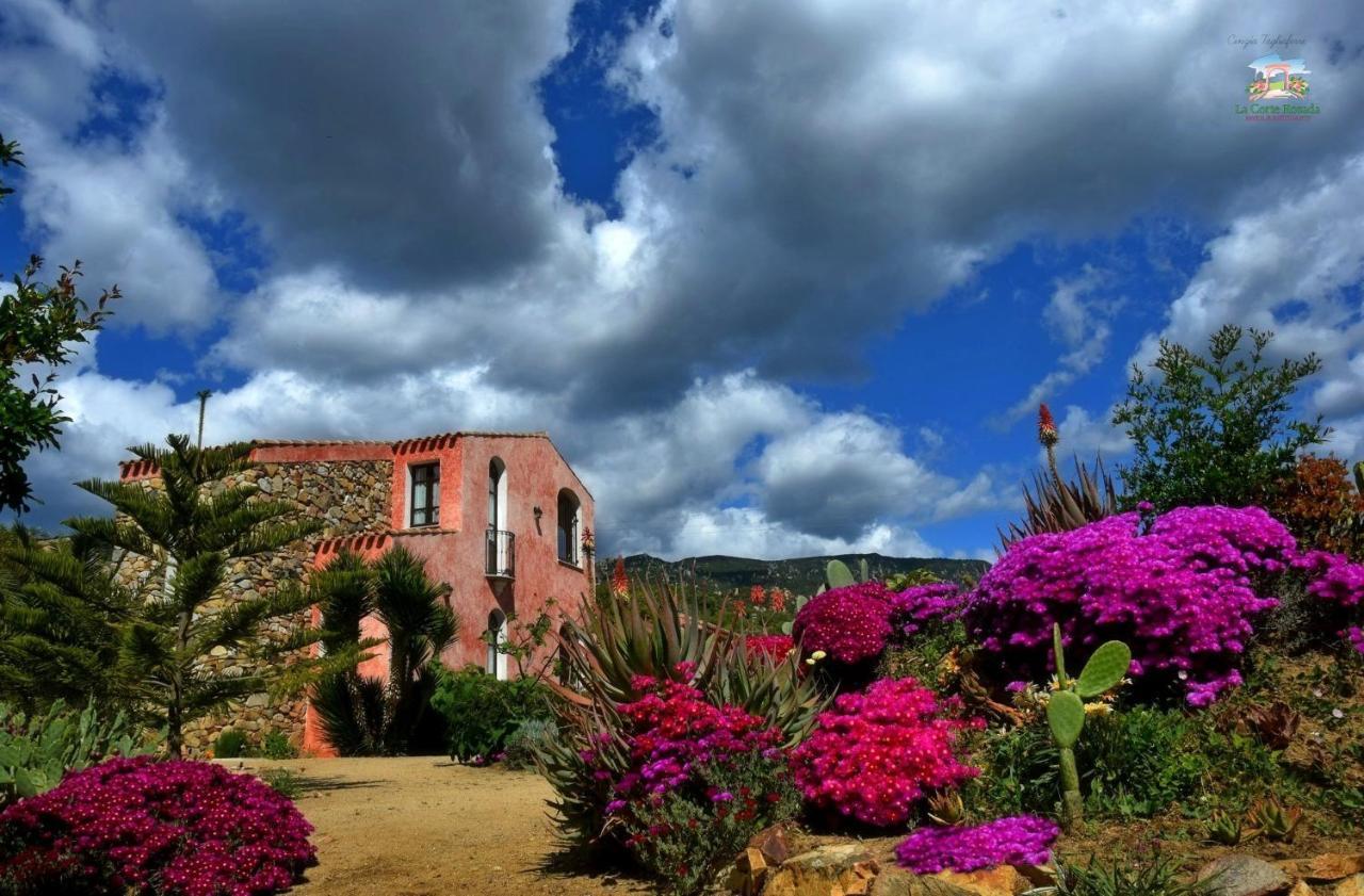 Hotel La Corte Rosada 빌라시미우스 외부 사진